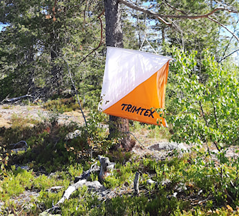 Treningsløp Bergsvanna - tirsdag 12. september 2023